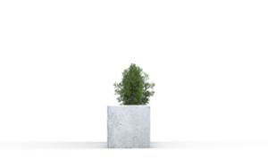 straatmeubilair, plantenbak, bank, beton, glad beton, houten zitting